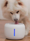 2.5L Smart Pet Water Dispenser