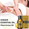 10 Pack Belly Drainage Ginger Oil, Ginger Oil Lymphatic Drainage Massage Oil, Natural Lymphatic Drainage Ginger Oil,Ginger Massage Oil,Plant Aroma Oil, Natural Ginger Essential Oil