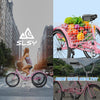 Adult Tricycles 7 Speed, Adult Trikes 20/24/26 Inch 3 Wheel Bikes, Three-Wheeled Bicycles Cruise Trike with Shopping Basket for Seniors, Women, Men.